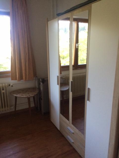 Schlesierhaus Apartamento Dachsberg im Schwarzwald Exterior foto