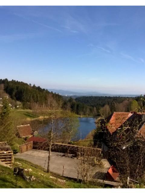 Schlesierhaus Apartamento Dachsberg im Schwarzwald Exterior foto